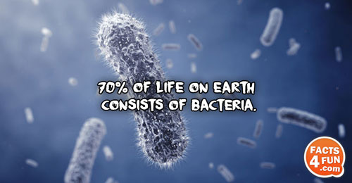 
70% of life on Earth consists of bacteria.