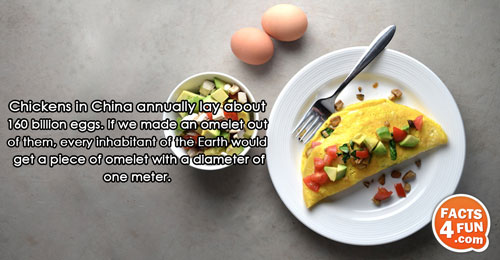 
Chickens in China annually lay about 160 billion eggs. If we made an omelet out of