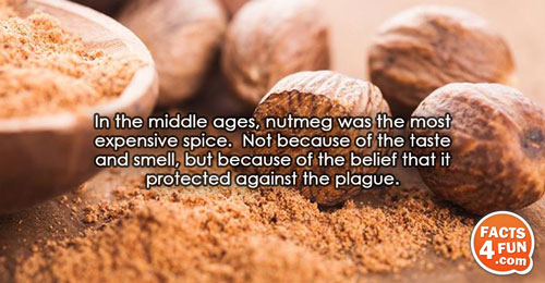 
In the middle ages, nutmeg was the most expensive spice. Not because of the taste and